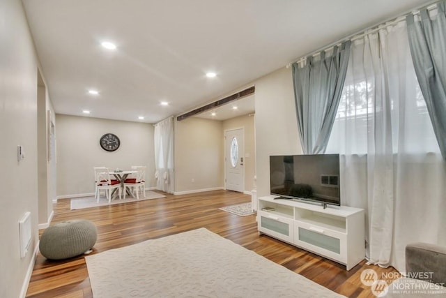 living room featuring wood-type flooring