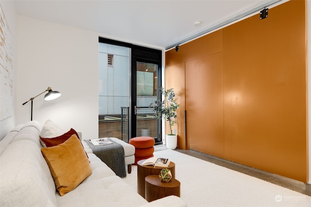 bedroom with expansive windows