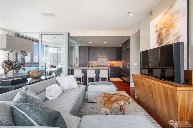 living room with sink and dark hardwood / wood-style flooring