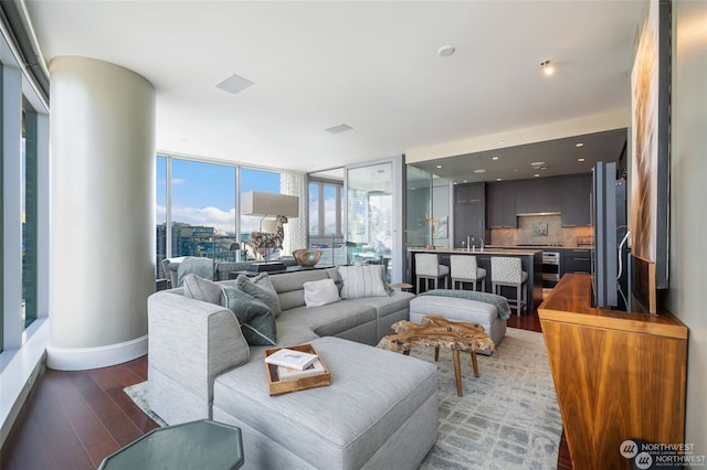 living room featuring dark hardwood / wood-style flooring and sink