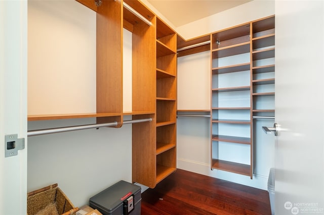 spacious closet featuring dark hardwood / wood-style flooring