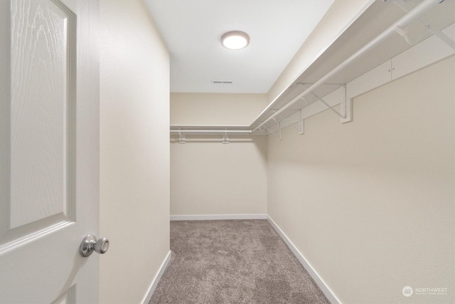 spacious closet featuring light carpet