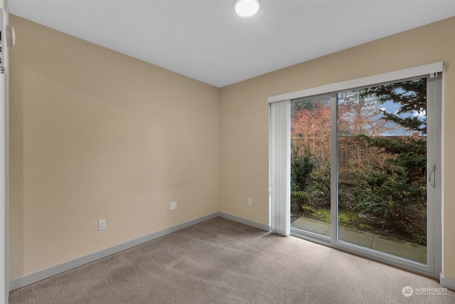 empty room with a healthy amount of sunlight and light carpet