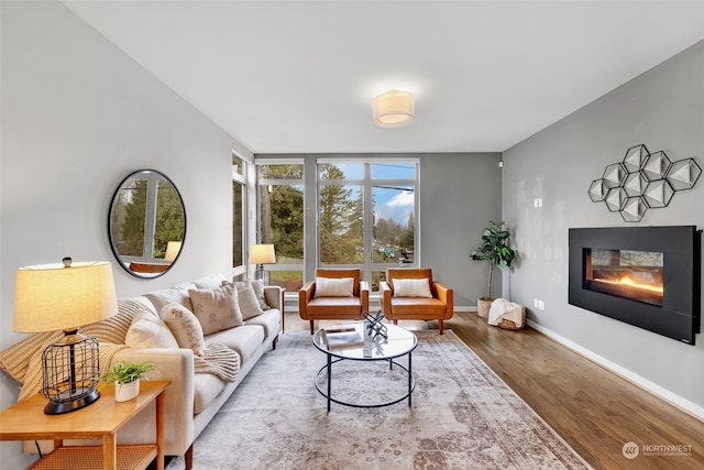 living room with wood-type flooring and expansive windows