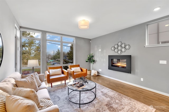 living room featuring hardwood / wood-style flooring and expansive windows