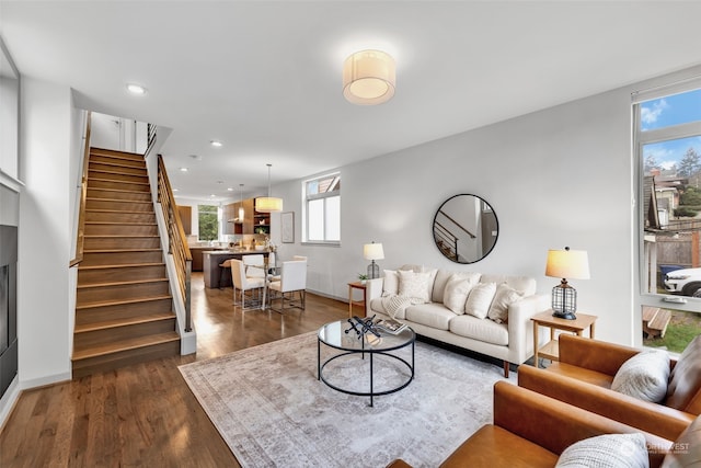 living room featuring dark hardwood / wood-style flooring