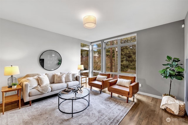 living room featuring hardwood / wood-style flooring and expansive windows