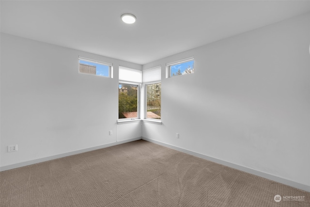 unfurnished room featuring light carpet