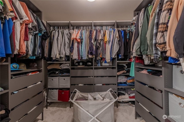 spacious closet featuring light colored carpet