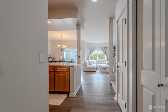 hall featuring wood-type flooring and a notable chandelier