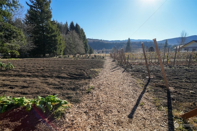 244 Martin Rd, Glenoma, WA 98336 - photo 22