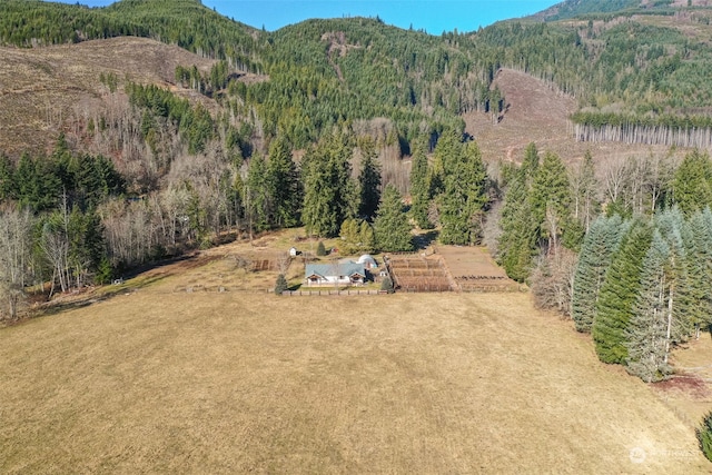 244 Martin Rd, Glenoma, WA 98336 - photo 33