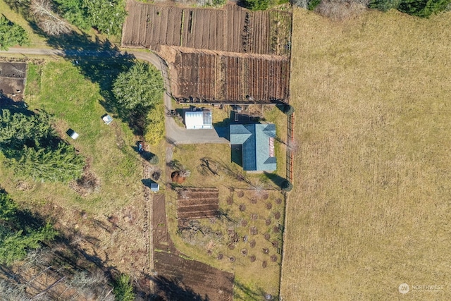 244 Martin Rd, Glenoma, WA 98336 - photo 34