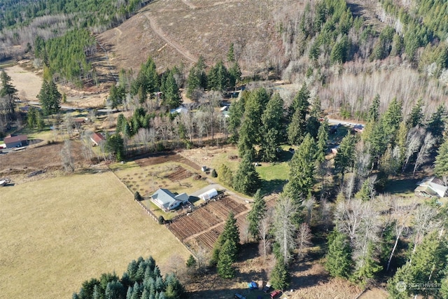 244 Martin Rd, Glenoma, WA 98336 - photo 35