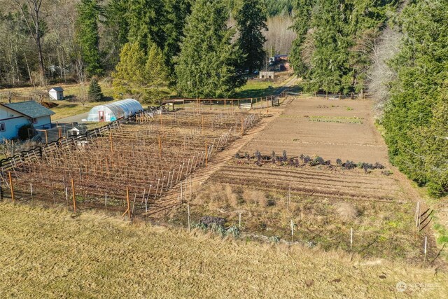 244 Martin Rd, Glenoma, WA 98336 - photo 26
