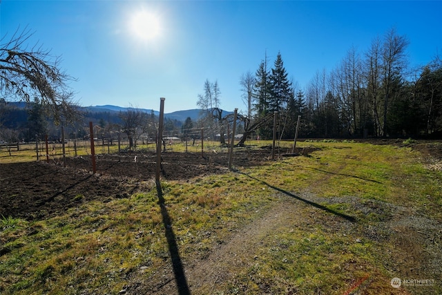 244 Martin Rd, Glenoma, WA 98336 - photo 29