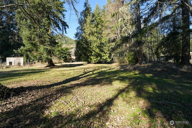 244 Martin Rd, Glenoma, WA 98336 - photo 30