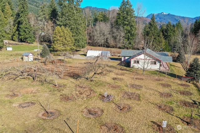 244 Martin Rd, Glenoma, WA 98336 - photo 31