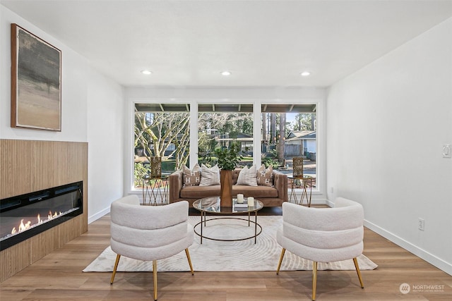 living room with light hardwood / wood-style floors