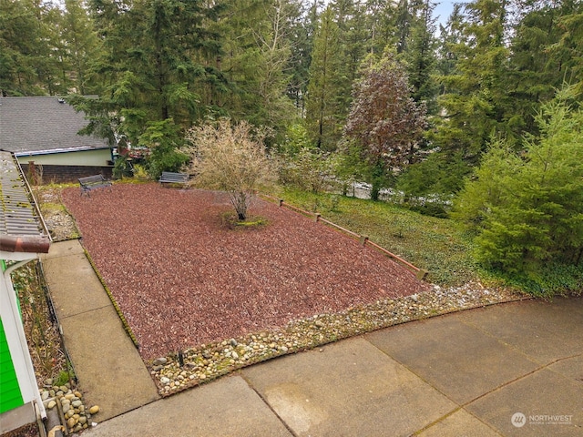 view of yard with a patio area