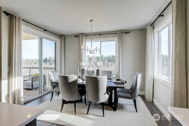 dining room with hardwood / wood-style flooring