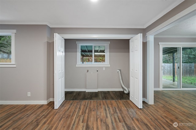 washroom featuring dark hardwood / wood-style flooring and a wealth of natural light