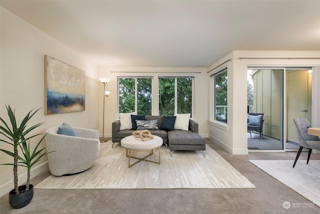 view of carpeted living room