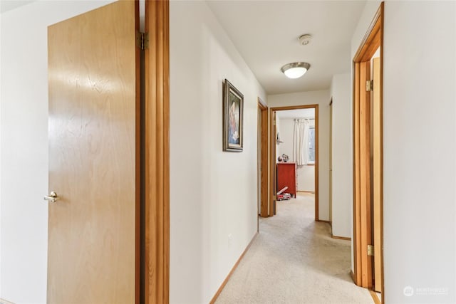 hall featuring light colored carpet