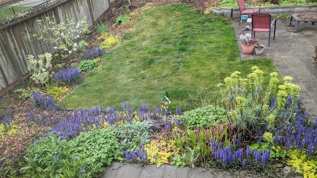 view of yard with a patio area