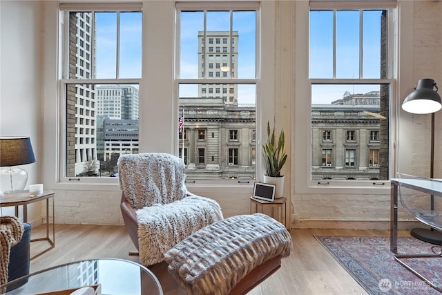 sitting room with a healthy amount of sunlight and light hardwood / wood-style floors