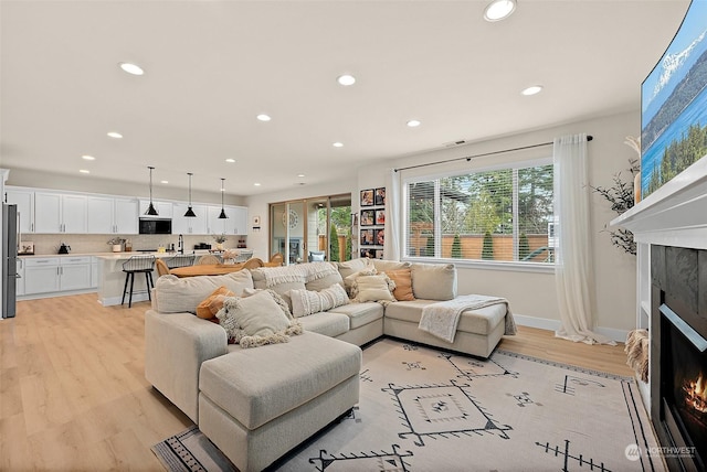 living room featuring light wood-type flooring