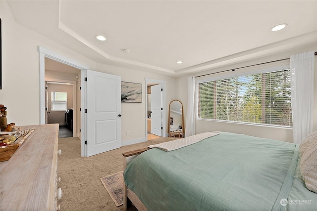 bedroom with light carpet and a raised ceiling