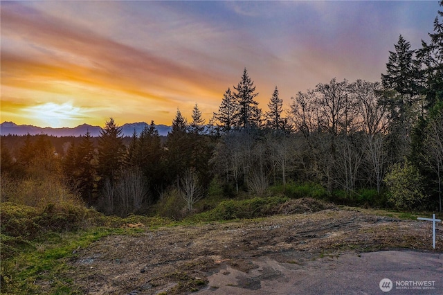 8259 Kaster Dr NE, Bremerton, WA 98311 - view of mountain backdrop with a forest