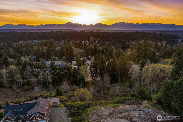 8259 Kaster Dr NE, Bremerton, WA 98311 - mountain view with a heavily wooded area