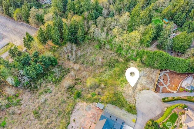 8259 Kaster Dr NE, Bremerton, WA 98311 - aerial view of property and surrounding area