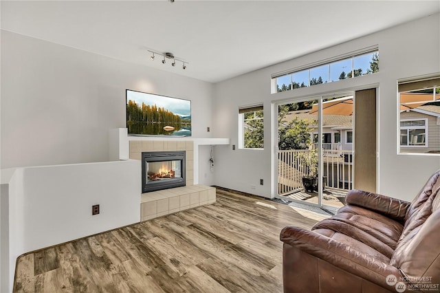 living room with a tile fireplace, wood-type flooring, and track lighting