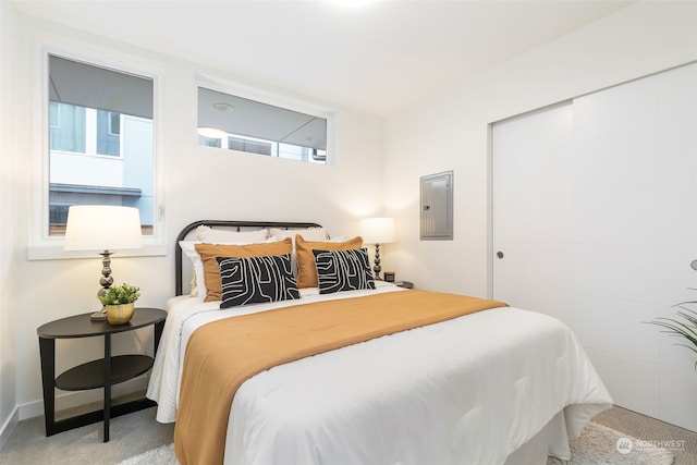 carpeted bedroom featuring electric panel