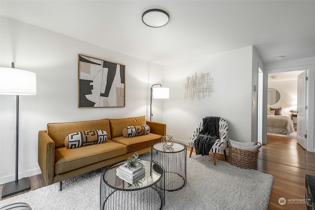 living room featuring hardwood / wood-style flooring