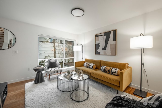 living room featuring wood-type flooring