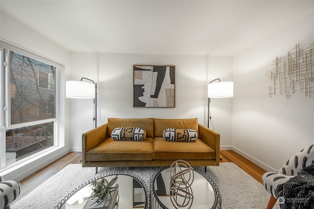 living room with wood-type flooring