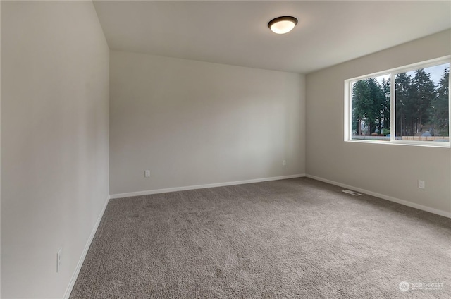 unfurnished room with carpet floors