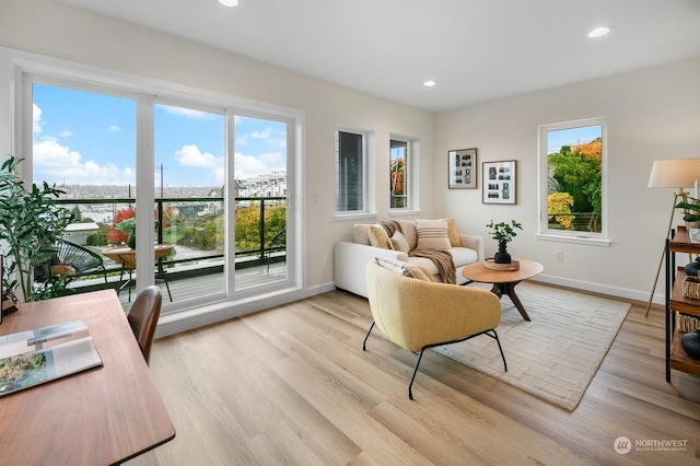 living room with light hardwood / wood-style flooring