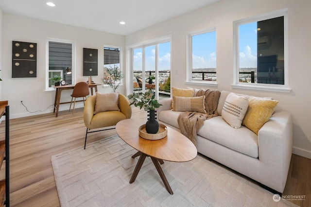 living room with light hardwood / wood-style flooring