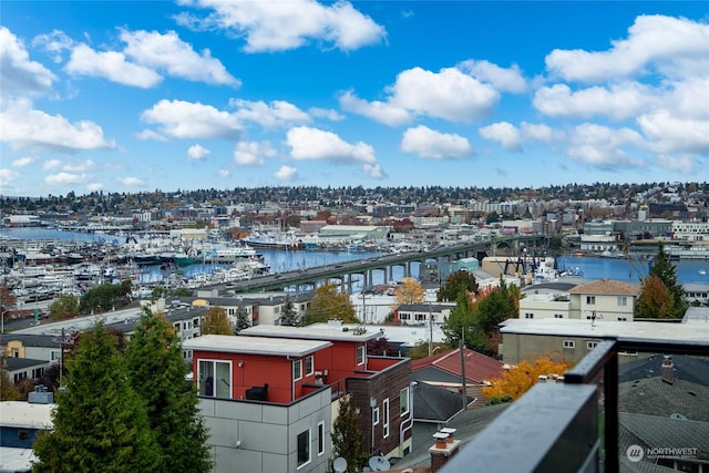 bird's eye view with a water view