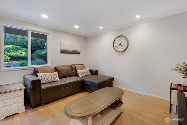 living room featuring crown molding and light hardwood / wood-style flooring