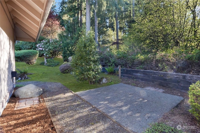 view of yard with a patio area