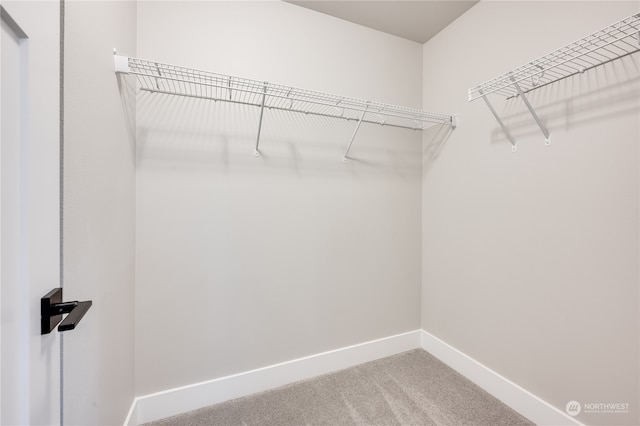 spacious closet with carpet flooring