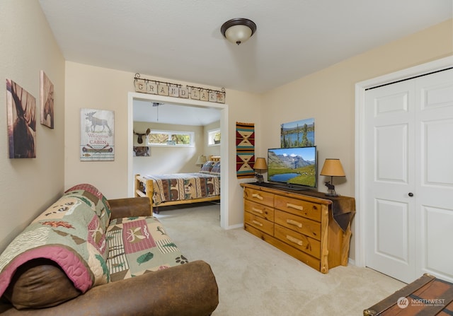 living room featuring light colored carpet