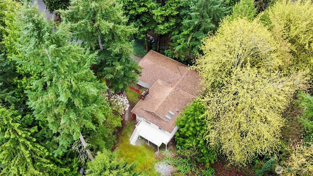 bird's eye view