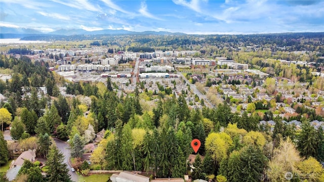 aerial view featuring a wooded view and a mountain view